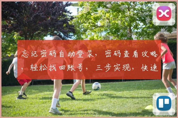 忘记密码自动登录，密码查看攻略，轻松找回账号，三步实现，快速登录体验